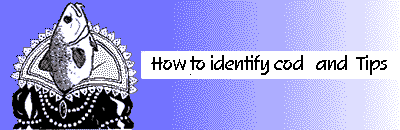 How to identify cod  - Tips